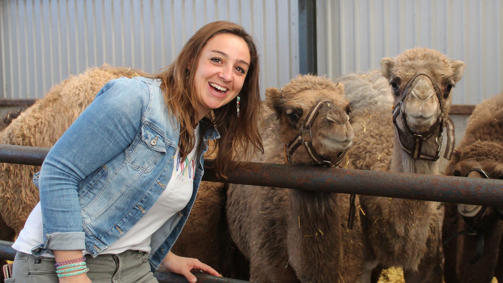 zelf pakket – canva zelf pakket canva Gruppensafari, Eiscreme-Workshop & Kamelschießen