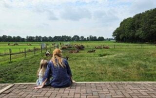 dieren uitje kinderen 2 Zondag- & vakantie safari's