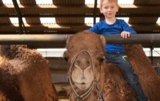 dieren uitje voor kinderen volwassenen Zondag- & vakantie safari's