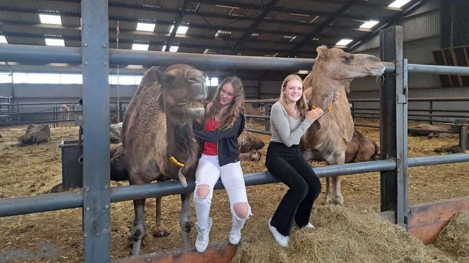 dagje uit 2 pubers die op een buis een kameel zitten te aaien.