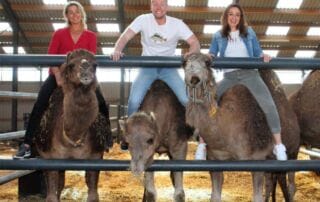 kamelenavontuur 1 Zondag- & vakantie safari's